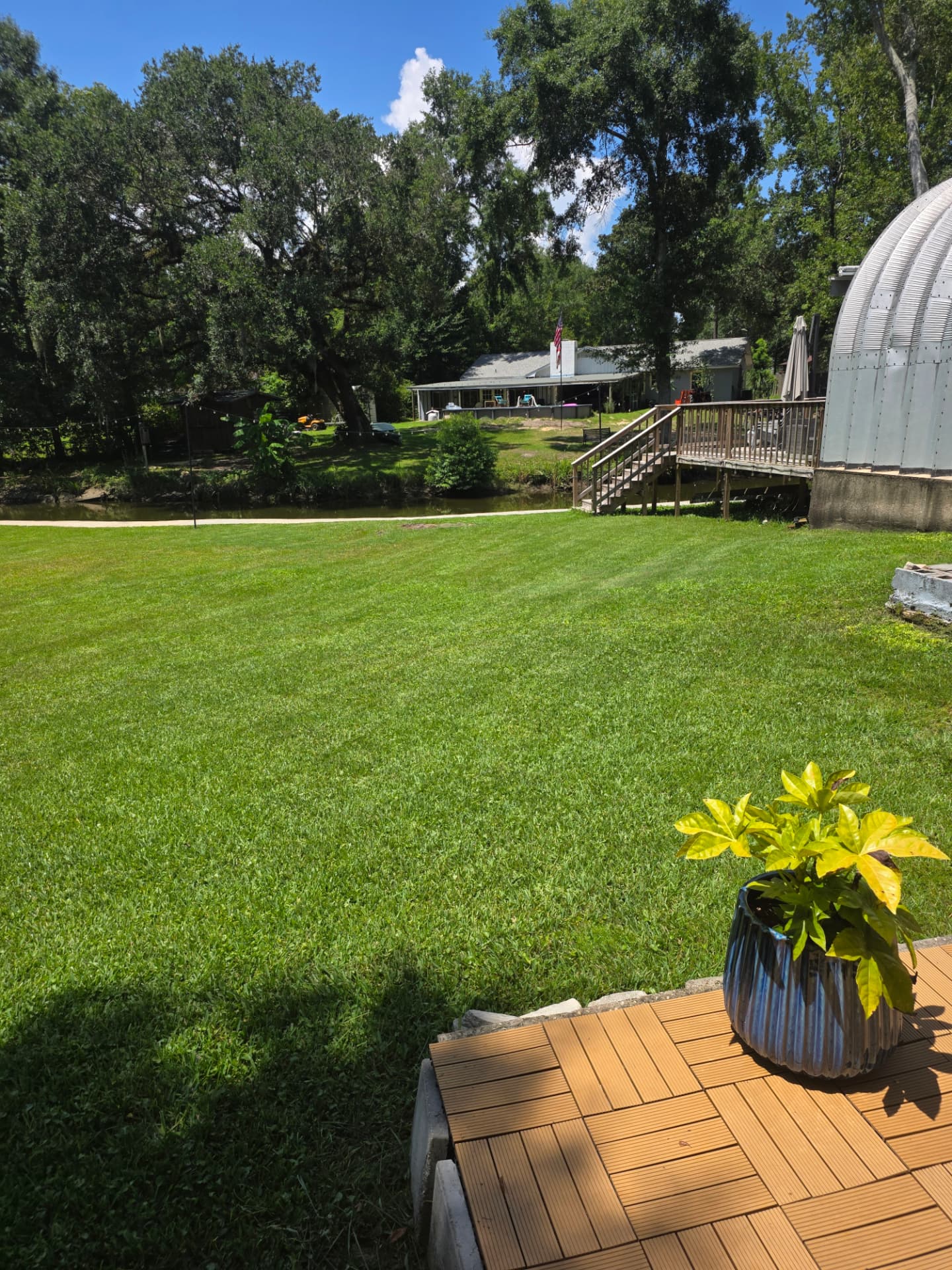 Lawn view from a patio with a potted plant in the foreground